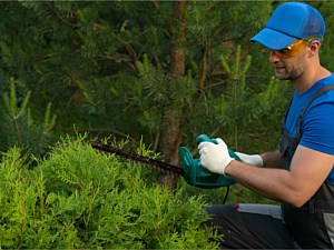 Gardens, Plants, Trees, Phenix City, AL